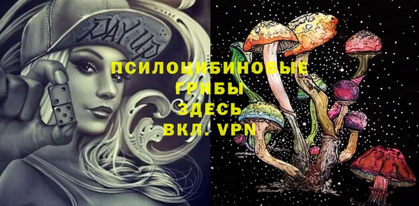 a pvp Каменка