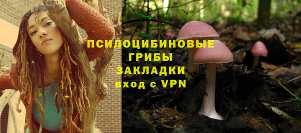 a pvp Каменка